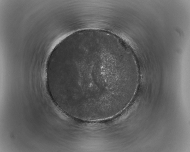 X0000115061077200911091441