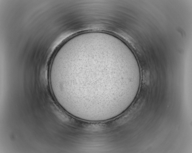 X0000115061078200911091441