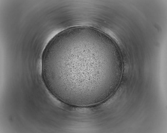 X0000115061079200911091441