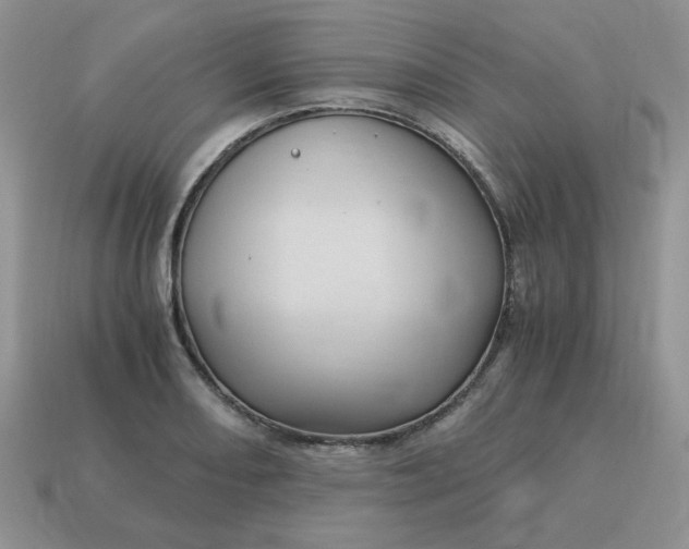 X0000115061082200911091441