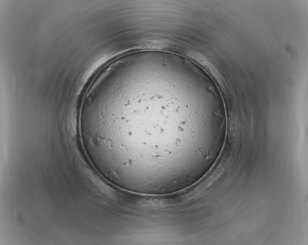 X0000115061083200911091441