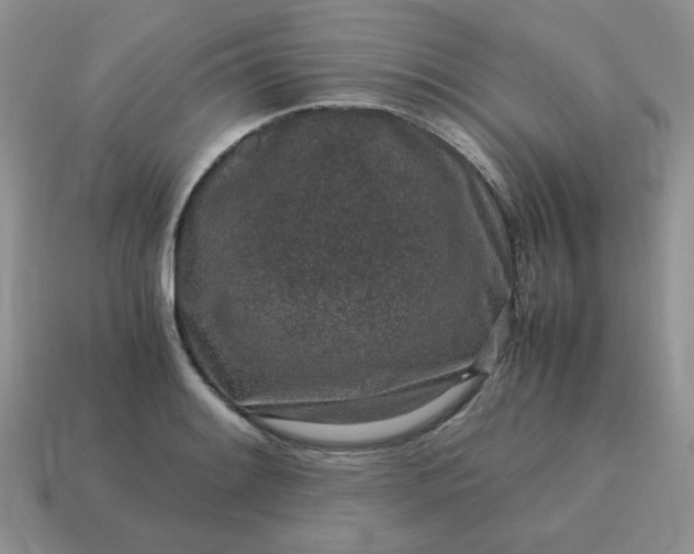 X0000115061084200911091441