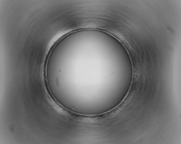 X0000115061086200911091441