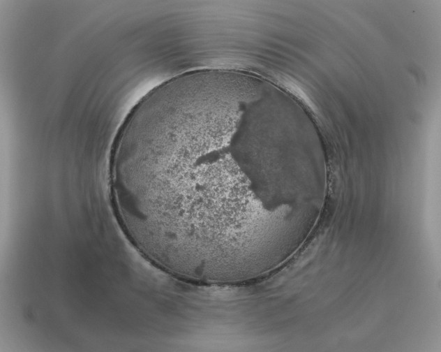 X0000115061087200911091441