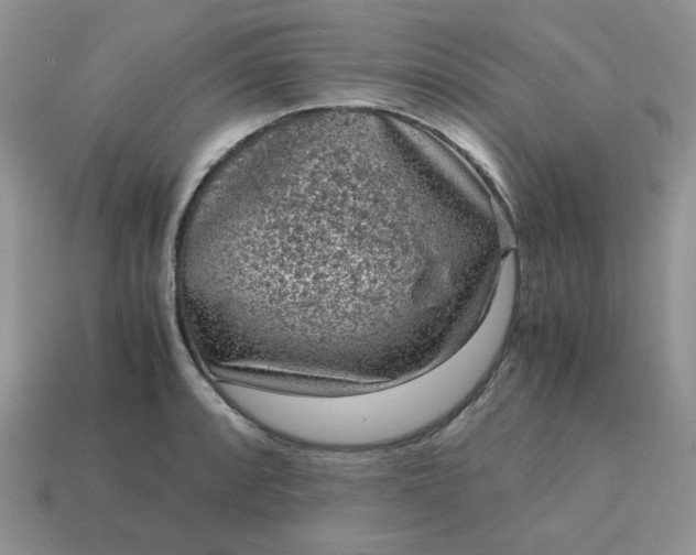 X0000115061088200911091441