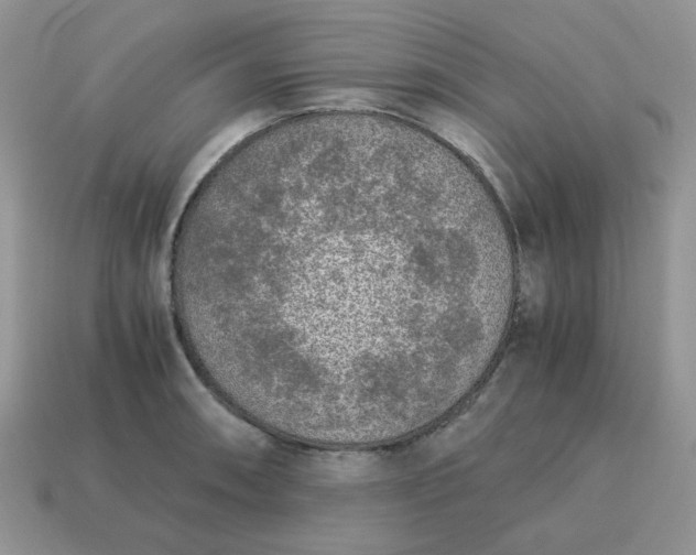 X0000115061090200911091441