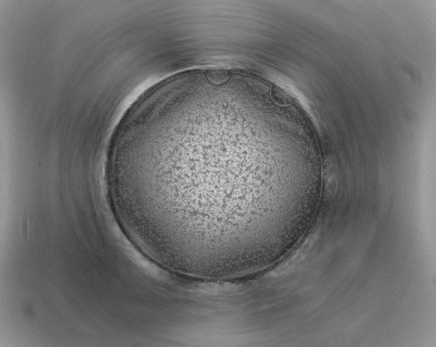 X0000115061091200911091441