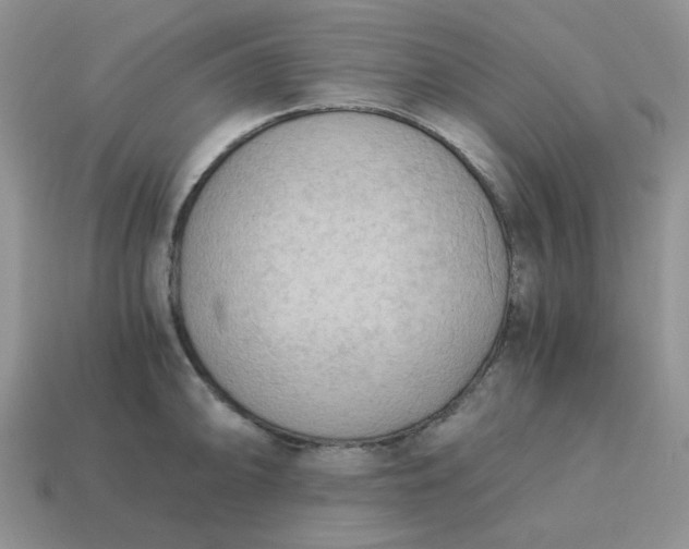 X0000115061094200911091441