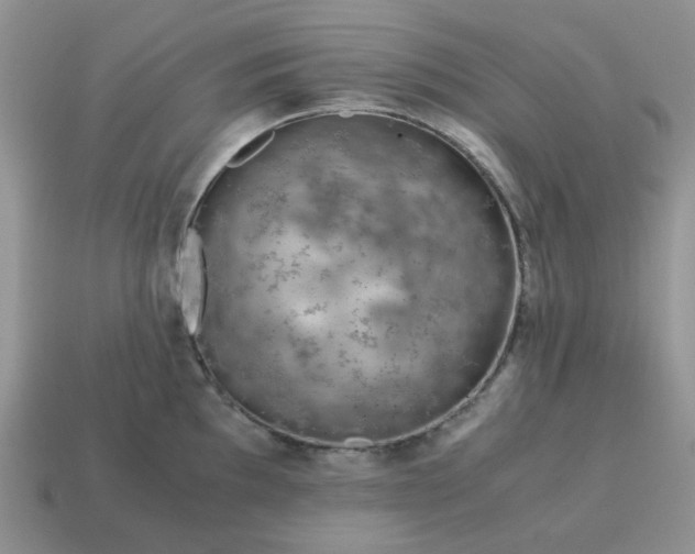 X0000115061097200911091441