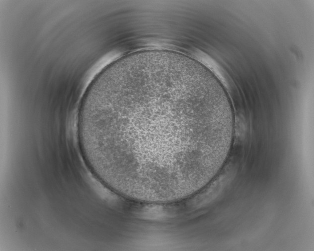 X0000115061098200911091441
