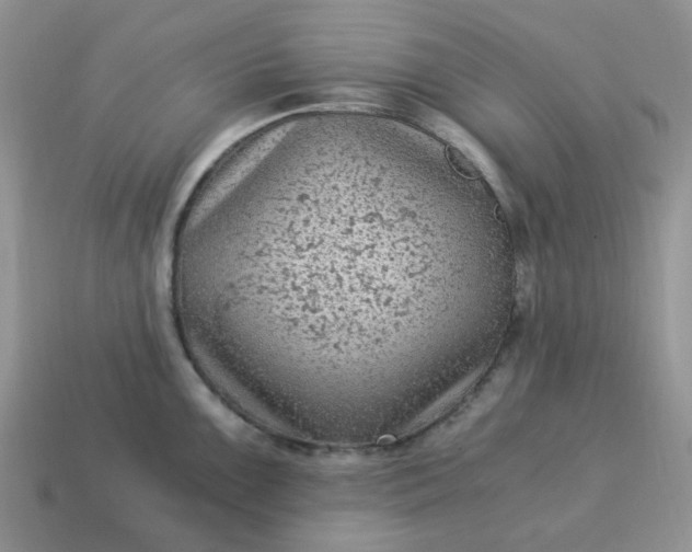 X0000115061099200911091441