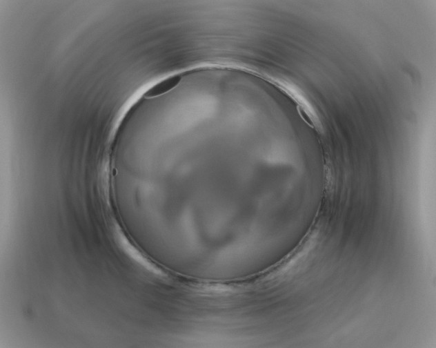 X0000115061100200911091441