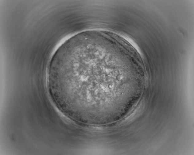 X0000115061101200911091441