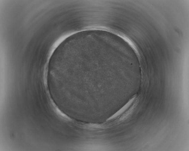 X0000115061102200911091441