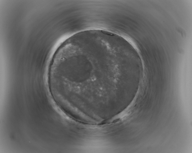 X0000115061104200911091441