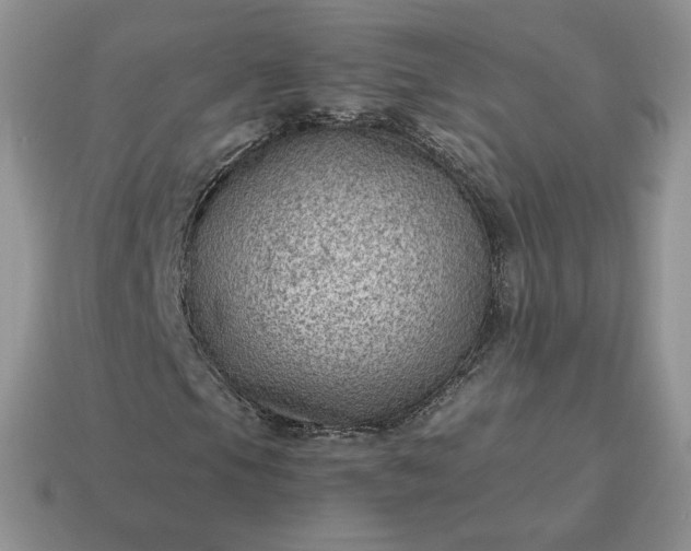 X0000115061105200911091440