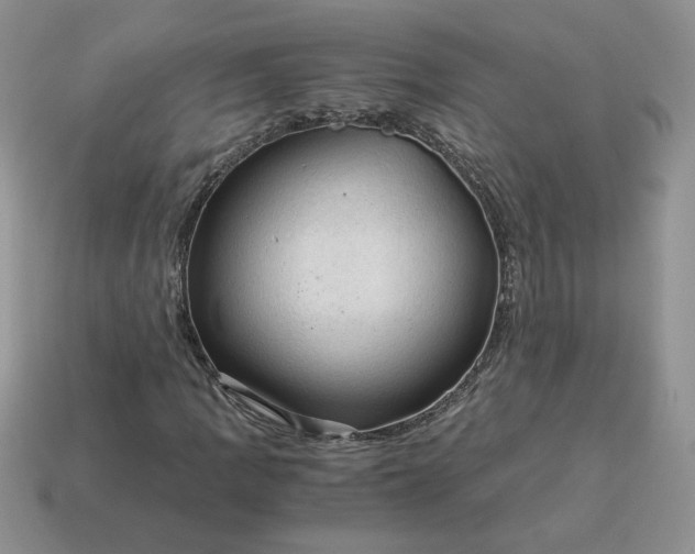 X0000115061109200911091440