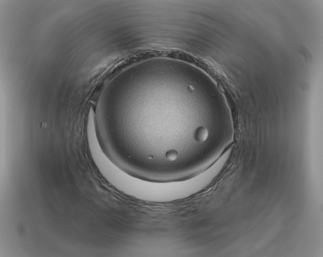 X0000115061110200911091440
