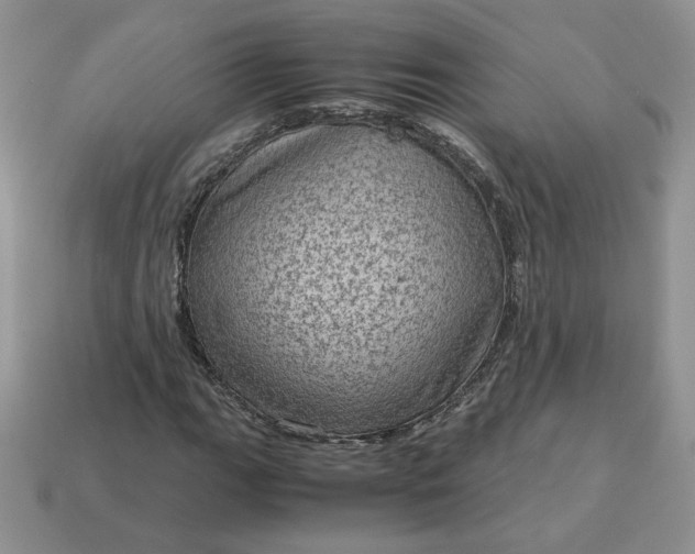 X0000115061111200911091440
