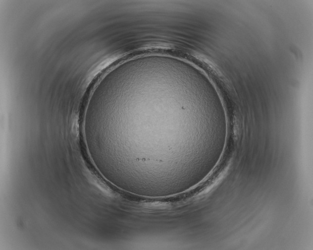 X0000115061113200911091440