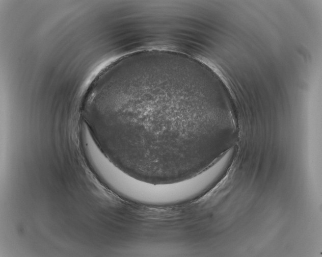 X0000115061115200911091440