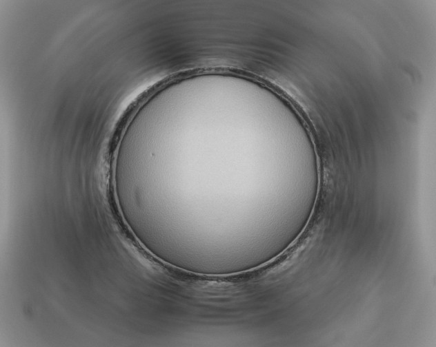 X0000115061119200911091440