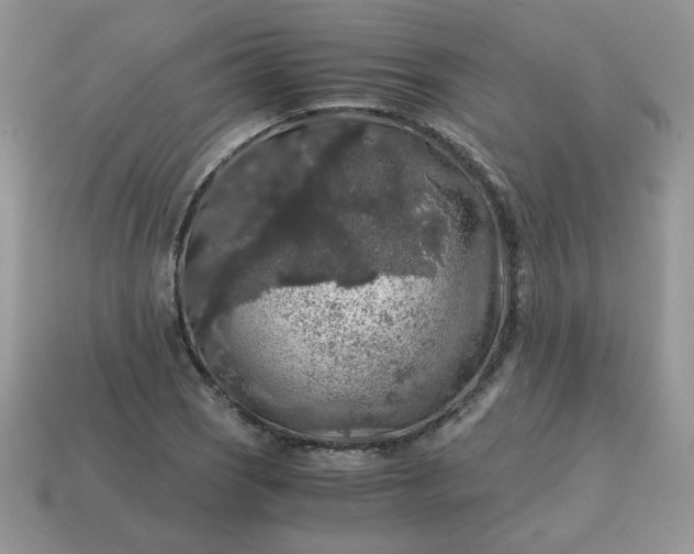 X0000115061121200911091440