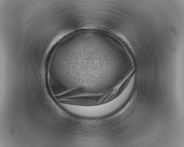 X0000115061122200911091440