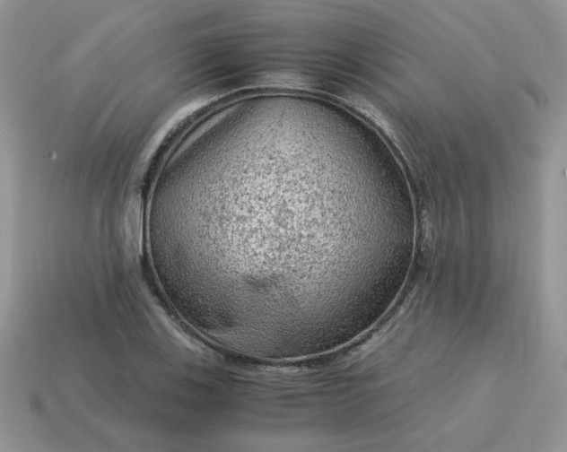 X0000115061123200911091440