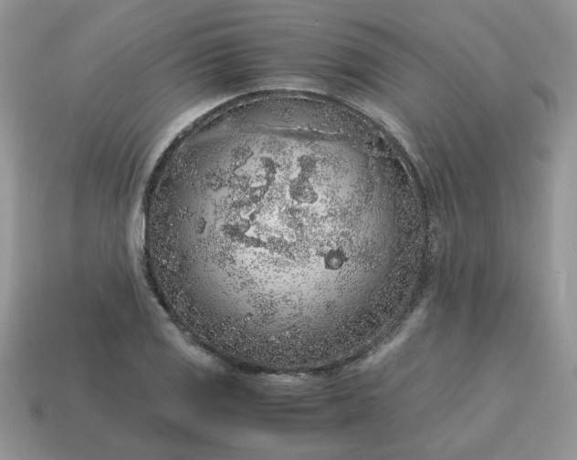 X0000115061125200911091440