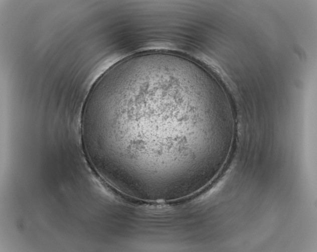 X0000115061129200911091441