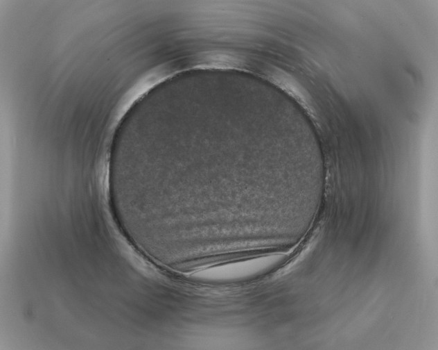 X0000115061130200911091441