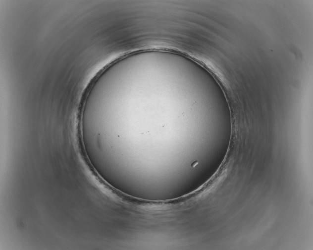 X0000115061134200911091441