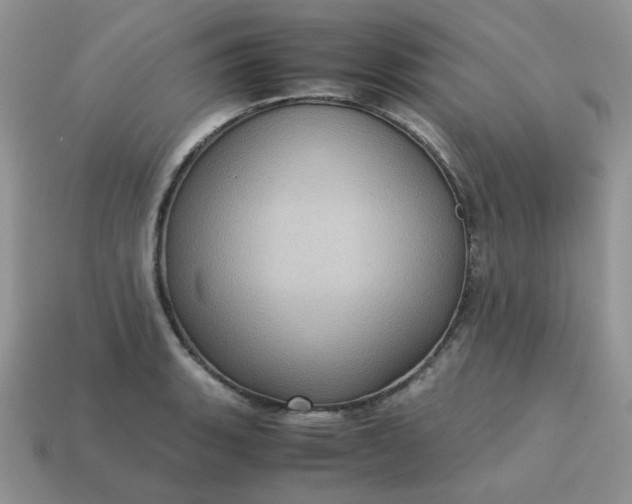 X0000115061135200911091441