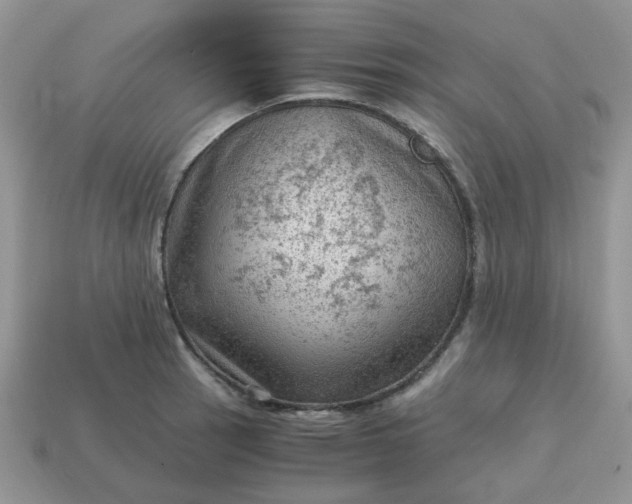 X0000115061137200911091441