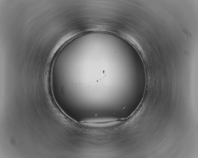 X0000115061138200911091441