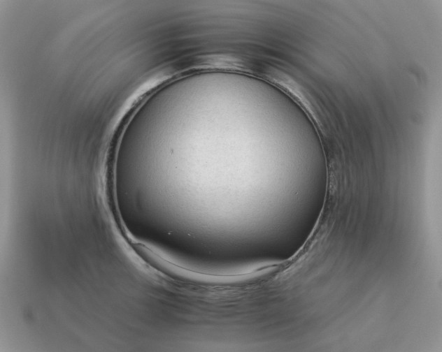 X0000115061139200911091441