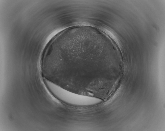 X0000115061141200911091441