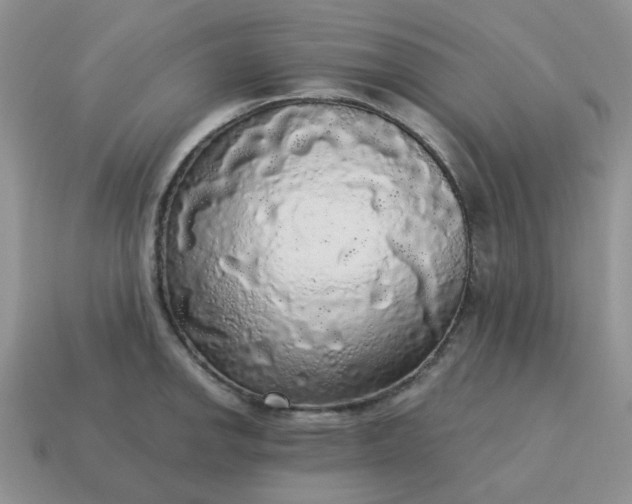 X0000115061142200911091441