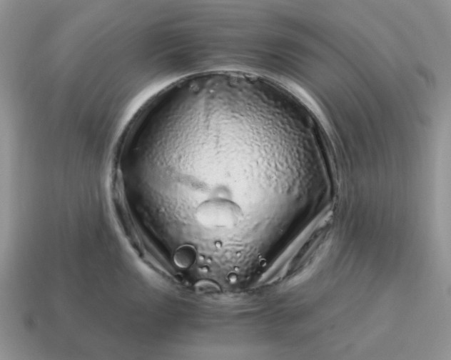 X0000115061149200911091441