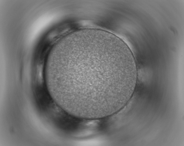 X0000115061150200911091441