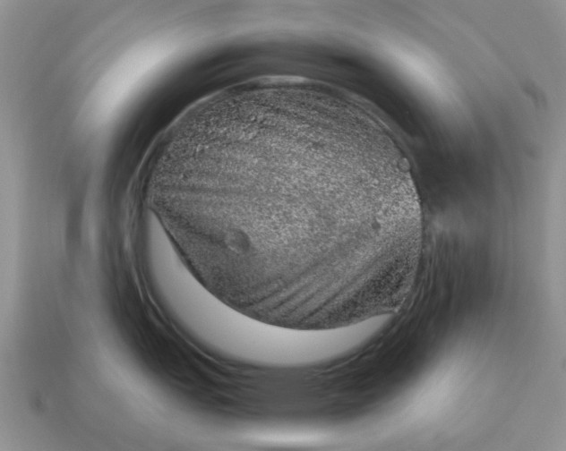 X0000115061151200911091441