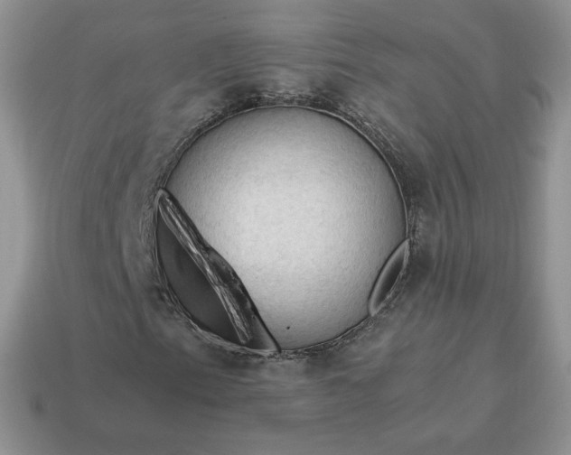 X0000115061153200911091440