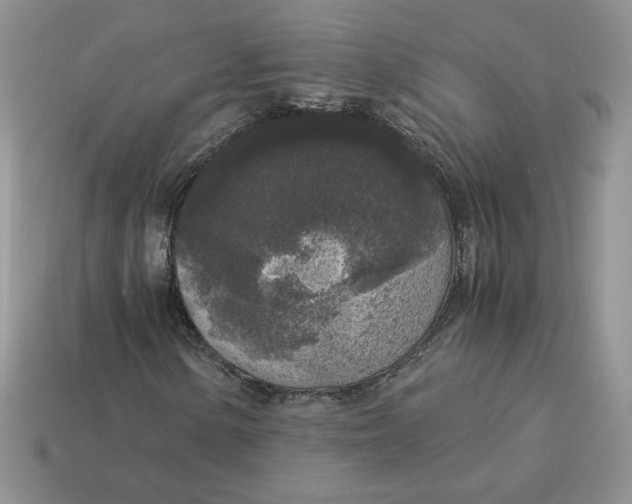 X0000115061154200911091440