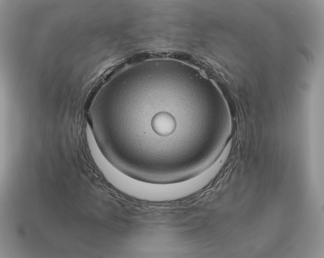 X0000115061157200911091440