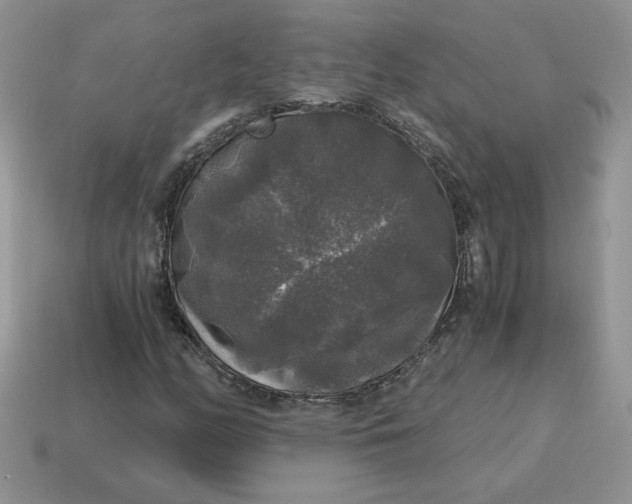 X0000115061158200911091440