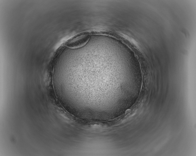 X0000115061160200911091440