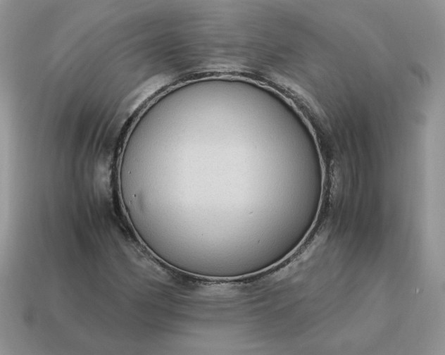 X0000115061162200911091440