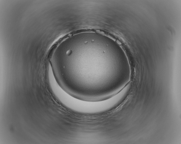 X0000115061165200911091440