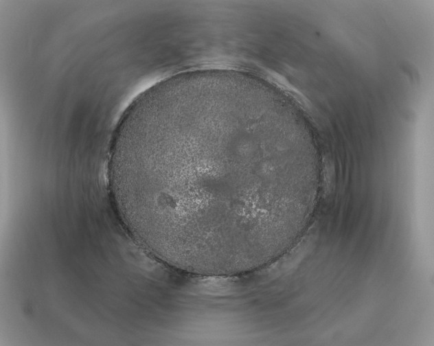 X0000115061166200911091440